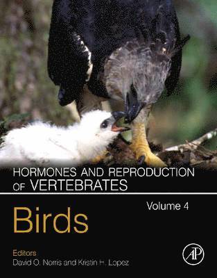 bokomslag Hormones and Reproduction of Vertebrates, Volume 4
