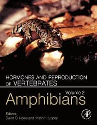 bokomslag Hormones and Reproduction of Vertebrates, Volume 2