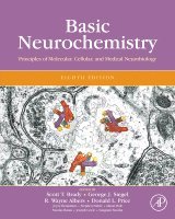 bokomslag Basic neurochemistry - principles of molecular, cellular, and medical neuro