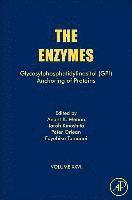 Glycosylphosphatidylinositol (GPI) Anchoring of Proteins