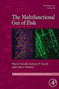 bokomslag Fish Physiology: The Multifunctional Gut of Fish
