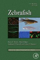 Fish Physiology: Zebrafish, Inbunden