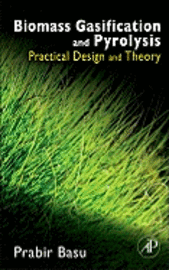 Prabir Basu - Biomass Gasification and Pyrolysis, Inbunden