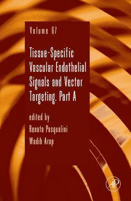 Tissue-Specific Vascular Endothelial Signals and Vector Targeting, Part A, Inbunden