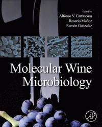 bokomslag Molecular Wine Microbiology