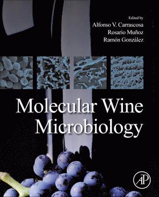 bokomslag Molecular Wine Microbiology