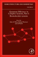 bokomslag Quantum Efficiency in Complex Systems, Part I