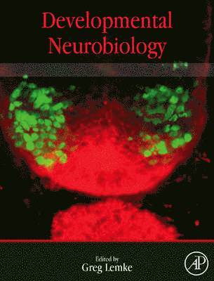 bokomslag Developmental Neurobiology