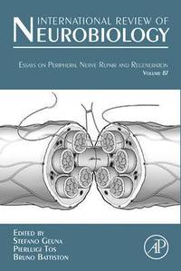 bokomslag Essays on Peripheral Nerve Repair and Regeneration