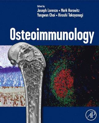 Joseph Lorenzo, Mark Horowitz, Yongwon Choi, Hiroshi Takayanagi - Osteoimmunology, Inbunden