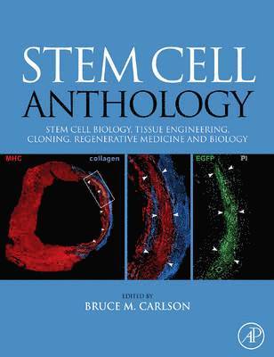 Stem Cell Anthology 1