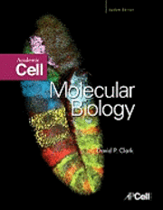 Molecular Biology