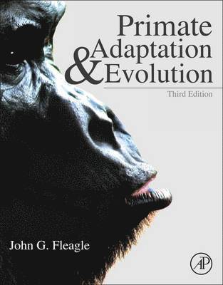 bokomslag Primate Adaptation and Evolution