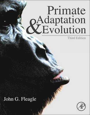 Primate Adaptation and Evolution 1