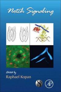 bokomslag Notch Signaling