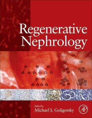 Michael S. Goligorsky - Regenerative Nephrology, Inbunden