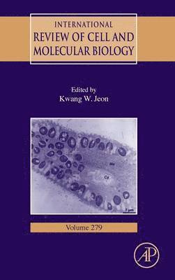 bokomslag International Review of Cell and Molecular Biology