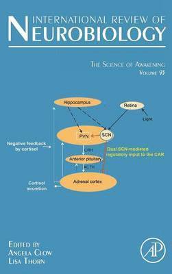 Science of Awakening 1