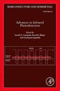 bokomslag Advances in Infrared Photodetectors