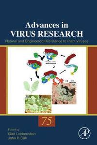 bokomslag Natural and Engineered Resistance to Plant Viruses