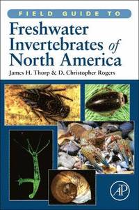 bokomslag Field Guide to Freshwater Invertebrates of North America