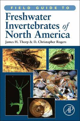 James H. Thorp, D. Christopher Rogers, James H Thorp, D Christopher Rogers - Field Guide to Freshwater Invertebrates of North America, Häftad