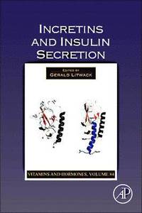 bokomslag Incretins and Insulin Secretion