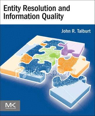 bokomslag Entity Resolution and Information Quality