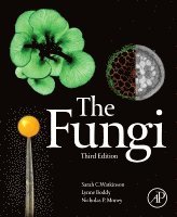 Sarah C. Watkinson, Lynne Boddy, Nicholas Money - The Fungi, Häftad