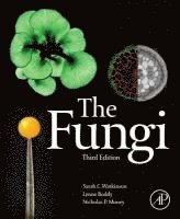 The Fungi 1