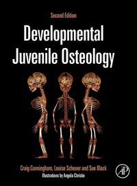 bokomslag Developmental Juvenile Osteology