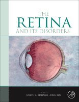Joseph Besharse, Dean Bok - The Retina and its Disorders, Inbunden