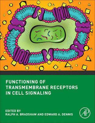 bokomslag Functioning of Transmembrane Receptors in Signaling Mechanisms