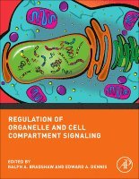 Ralph A. Bradshaw, Edward A. Dennis, Ralph A Bradshaw, Edward A Dennis - Regulation of Organelle and Cell Compartment Signaling, Häftad