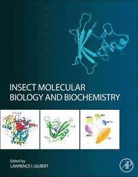 bokomslag Insect Molecular Biology and Biochemistry