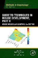 bokomslag Guide to Techniques in Mouse Development, Part B