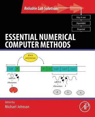 bokomslag Essential Numerical Computer Methods