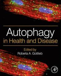 bokomslag Autophagy in Health and Disease