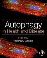 Autophagy in Health and Disease 1