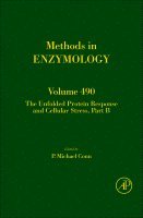 P. Michael Conn - The Unfolded Protein Response and Cellular Stress, Part B, Inbunden