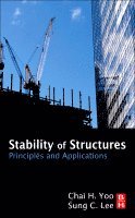 bokomslag Stability of Structures