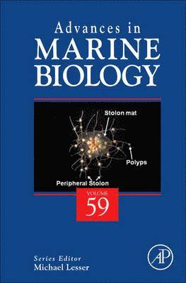 Michael P. Lesser, USA) Lesser, Michael P. (University of New Hampshire - Advances in Marine Biology, Inbunden