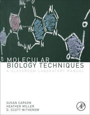 bokomslag Molecular Biology Techniques