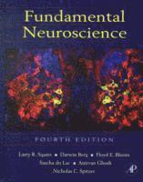 bokomslag Fundamental Neuroscience