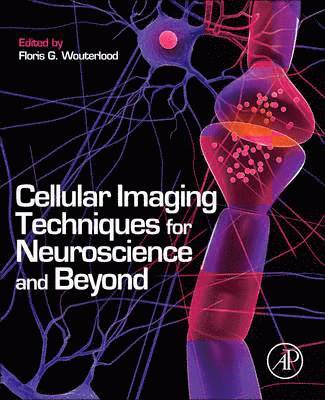 bokomslag Cellular Imaging Techniques for Neuroscience and Beyond