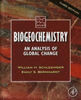 bokomslag Biogeochemistry: An Analysis of Global Change
