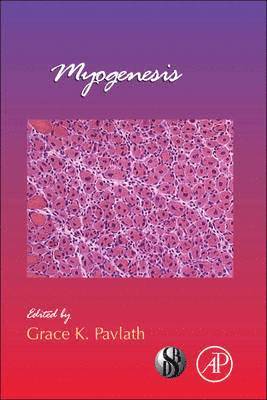 Myogenesis 1