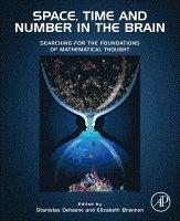 Stanislas Dehaene, Elizabeth Brannon - Space, Time and Number in the Brain, Inbunden