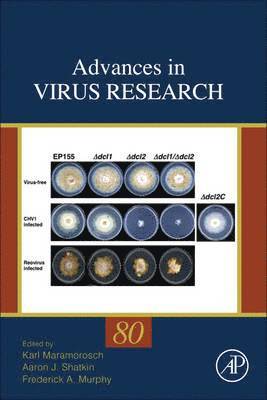 bokomslag Advances in Virus Research