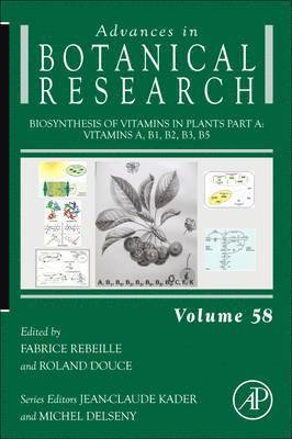 bokomslag Biosynthesis of Vitamins in Plants Part A